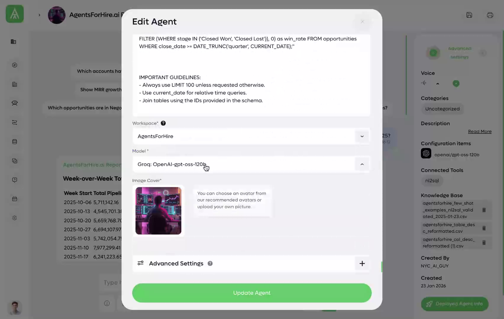 Agent role and model